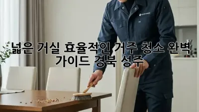 넓은 거실, 효율적인 거주 청소 완벽 가이드 (경북 성주)