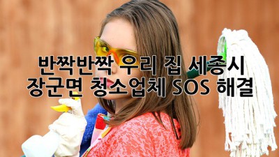 ✨ 반짝반짝 우리 집! 세종시 장군면 청소업체 SOS 해결 🏡